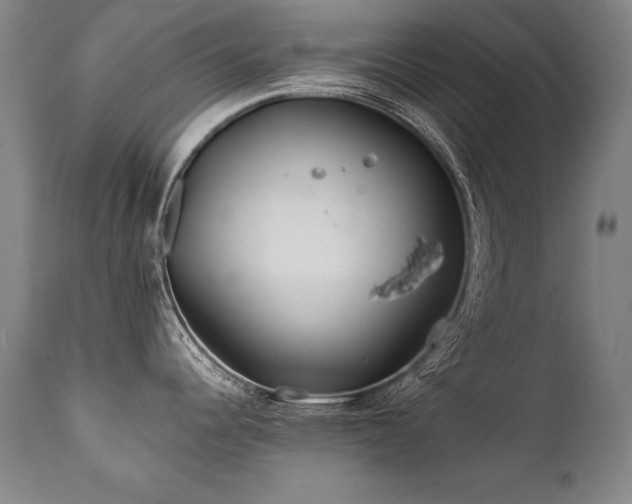 X0000112061344200908041205