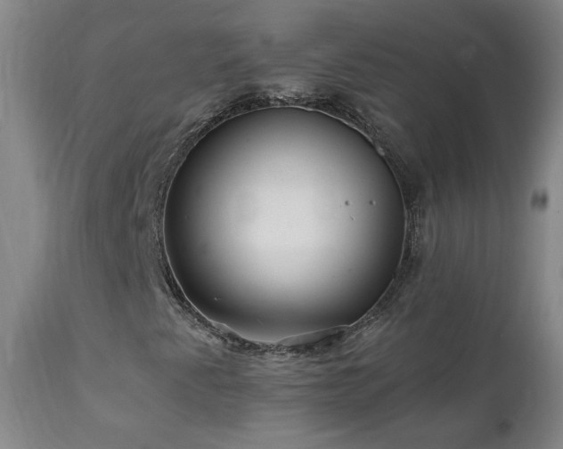 X0000112061345200908041205