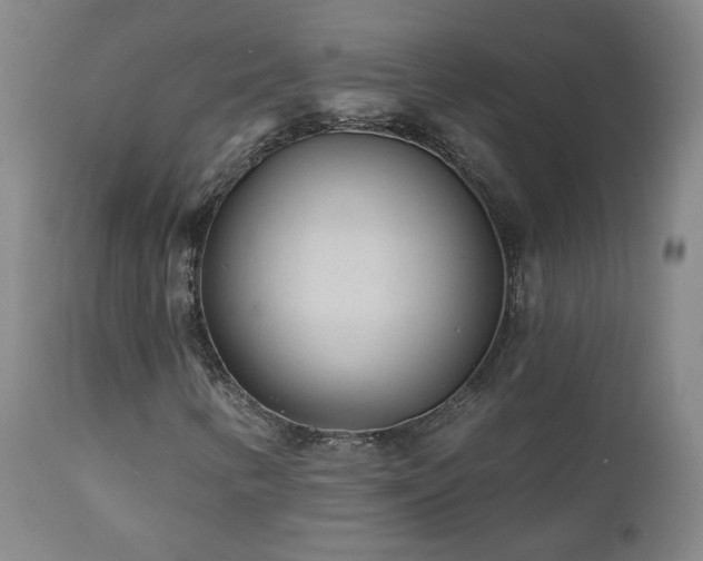 X0000112061346200908041205