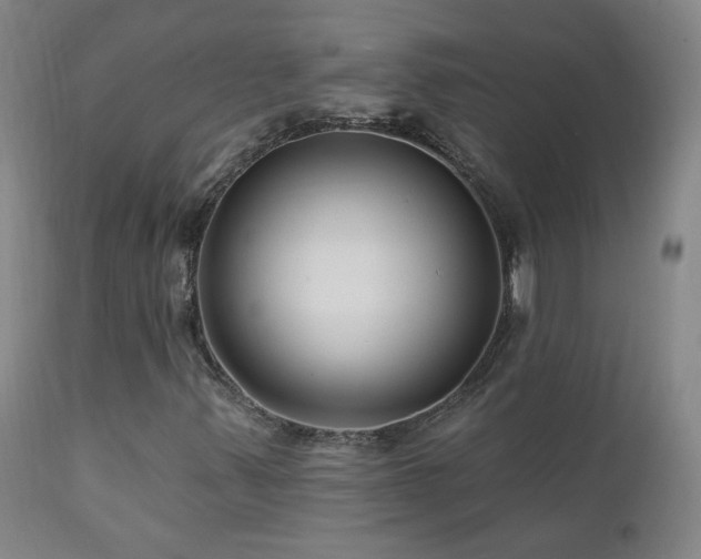 X0000112061347200908041205