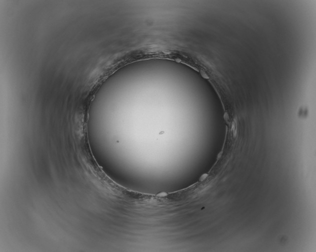 X0000112061348200908041205