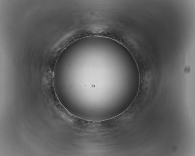 X0000112061349200908041205