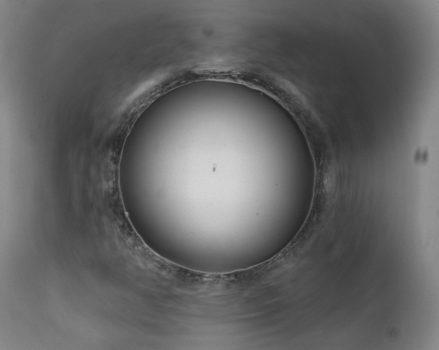 X0000112061350200908041205