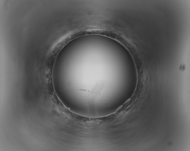 X0000112061351200908041205