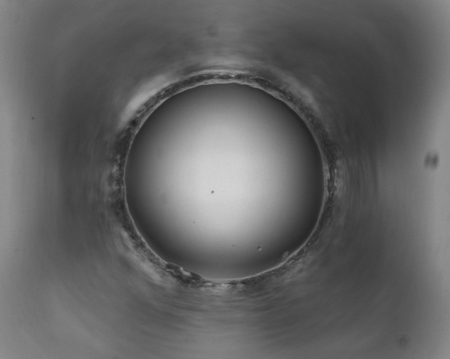 X0000112061352200908041205