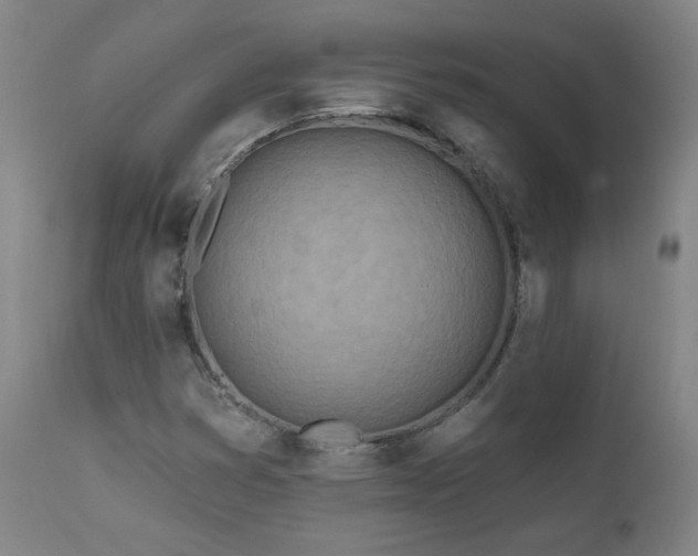 X0000112061353200908041205