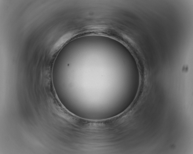 X0000112061354200908041205