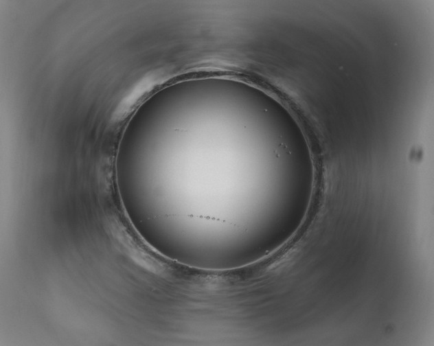 X0000112061355200908041205