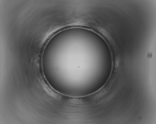 X0000112061356200908041205