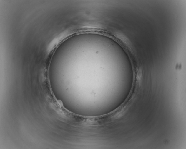 X0000112061357200908041204