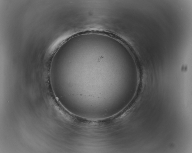 X0000112061359200908041204