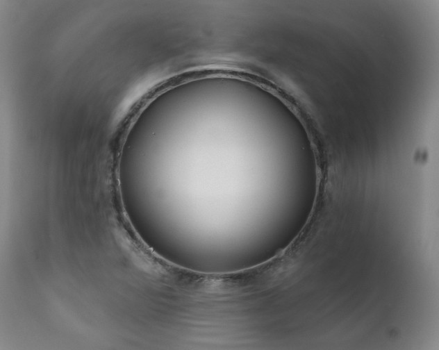 X0000112061360200908041204