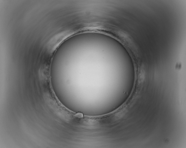 X0000112061361200908041204