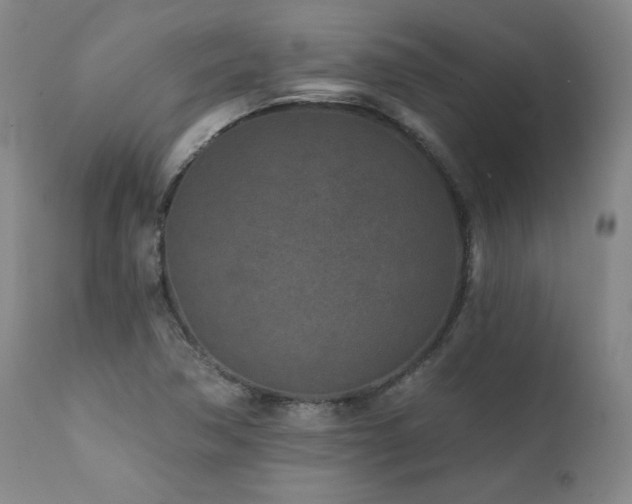 X0000112061362200908041204