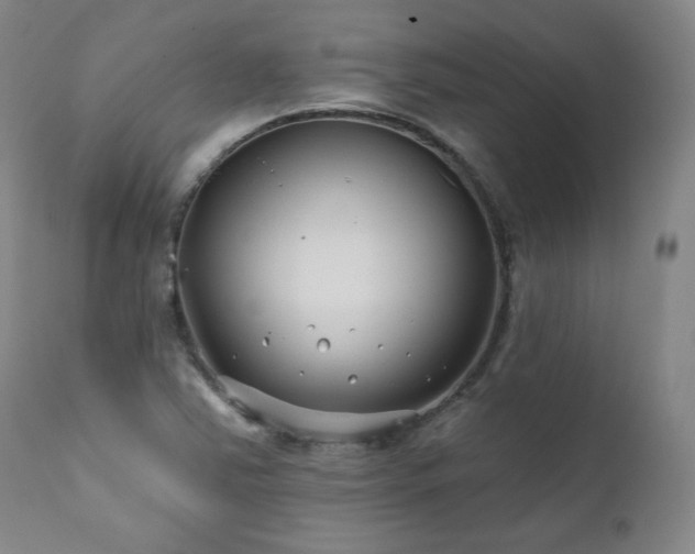X0000112061363200908041204