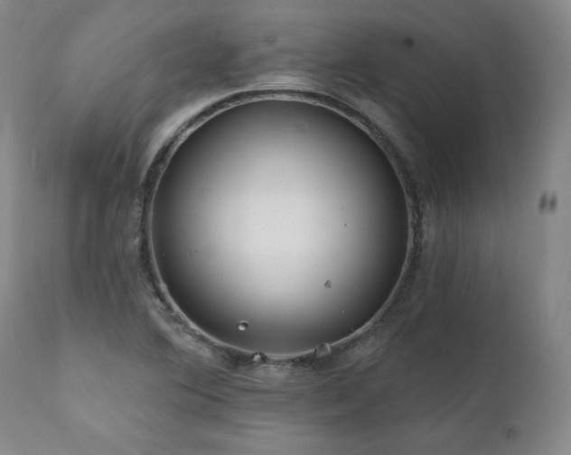 X0000112061364200908041204