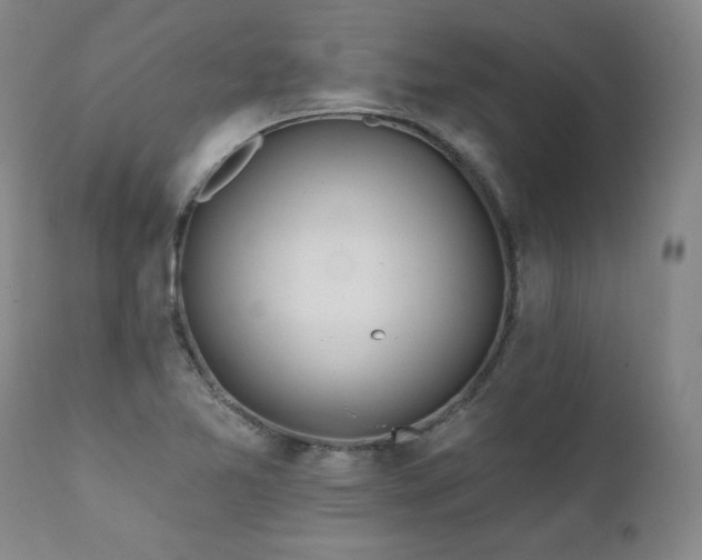 X0000112061365200908041204