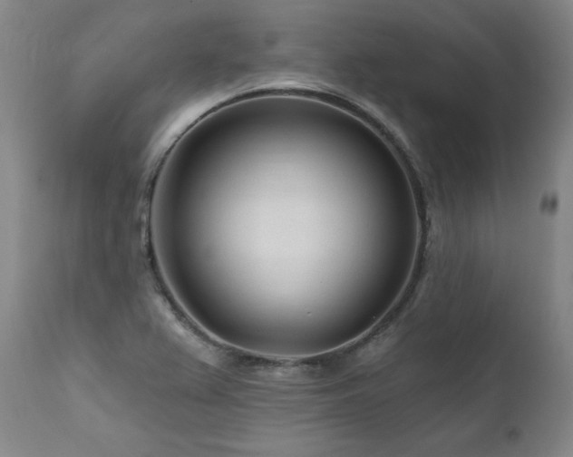 X0000112061367200908041204