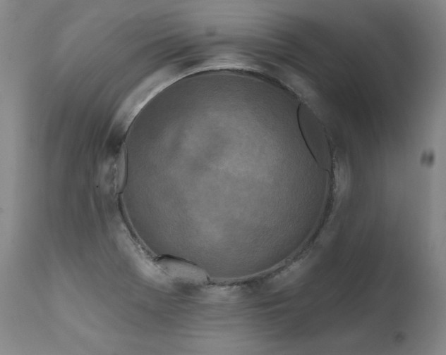 X0000112061369200908041204