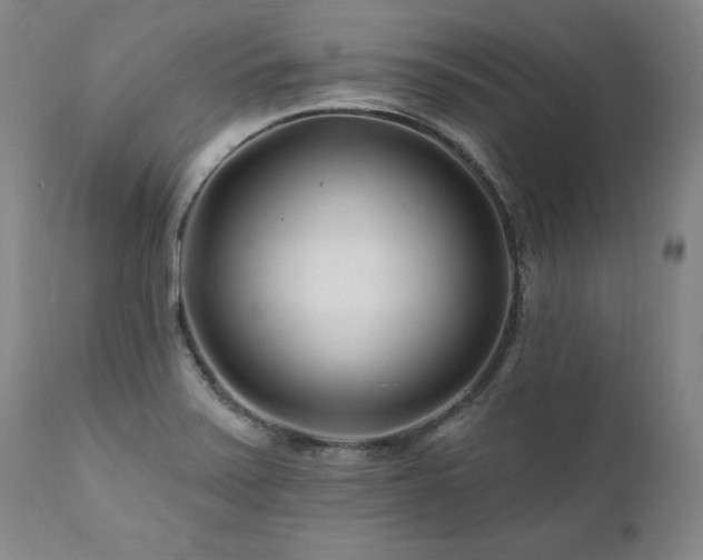 X0000112061371200908041204
