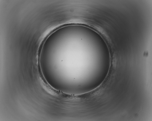 X0000112061372200908041204
