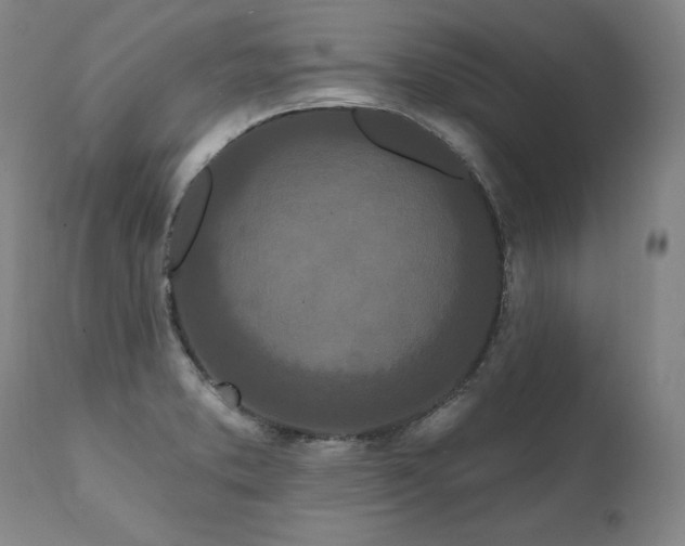 X0000112061373200908041204