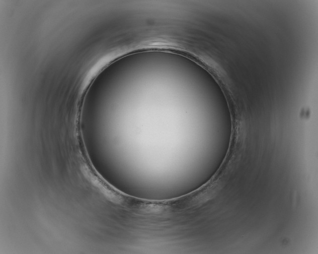 X0000112061374200908041204