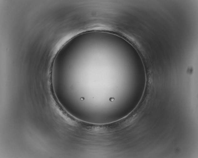 X0000112061375200908041204