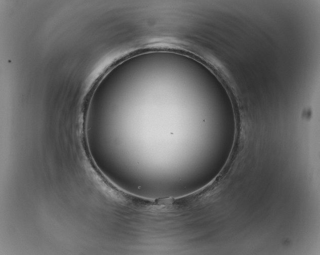 X0000112061376200908041204