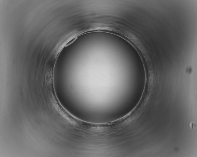 X0000112061377200908041204