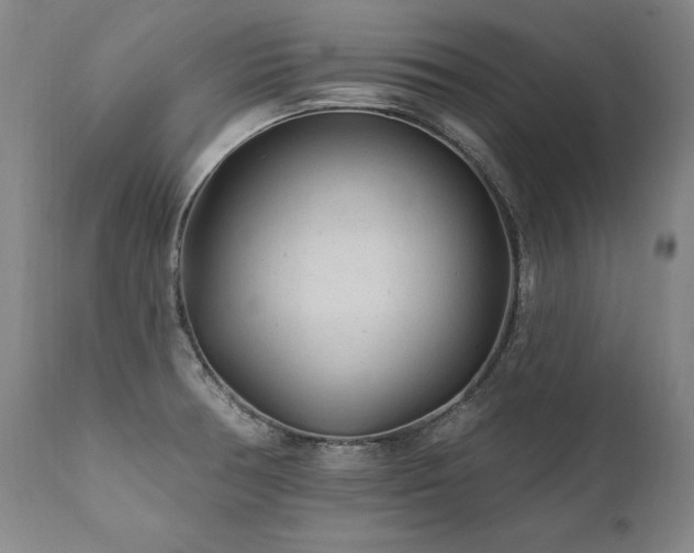 X0000112061378200908041204