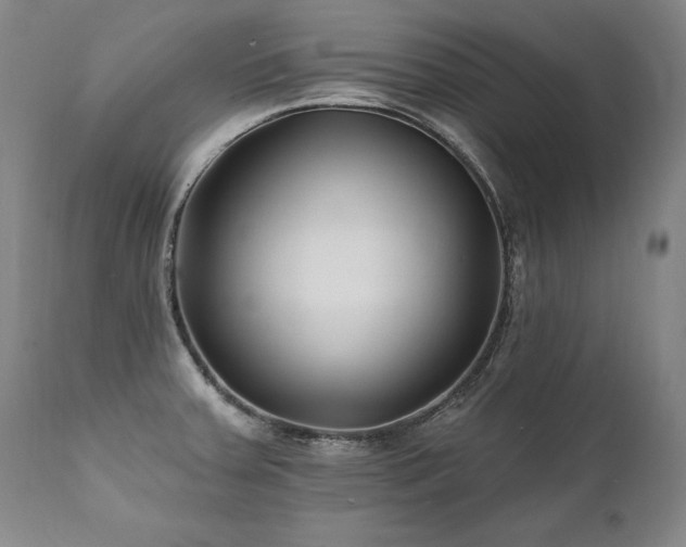 X0000112061379200908041204