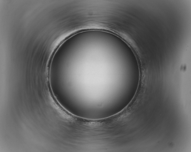 X0000112061380200908041204