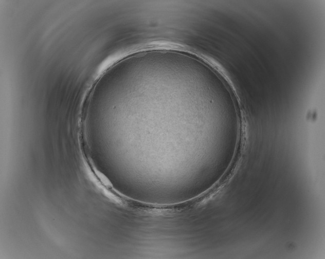 X0000112061381200908041204