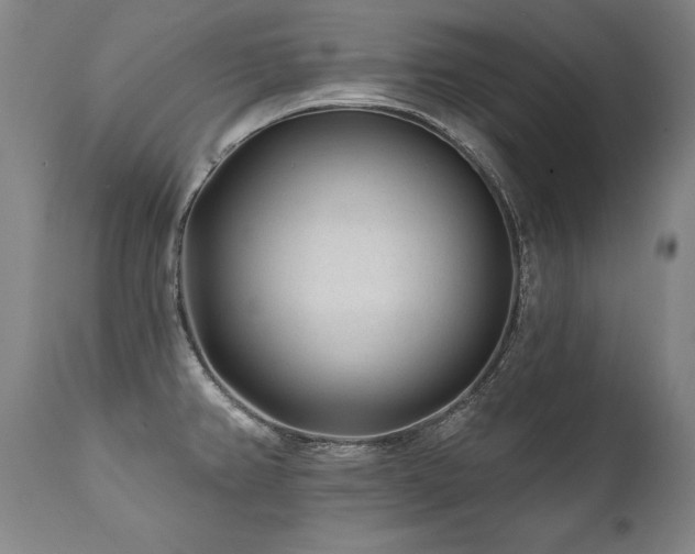 X0000112061382200908041204
