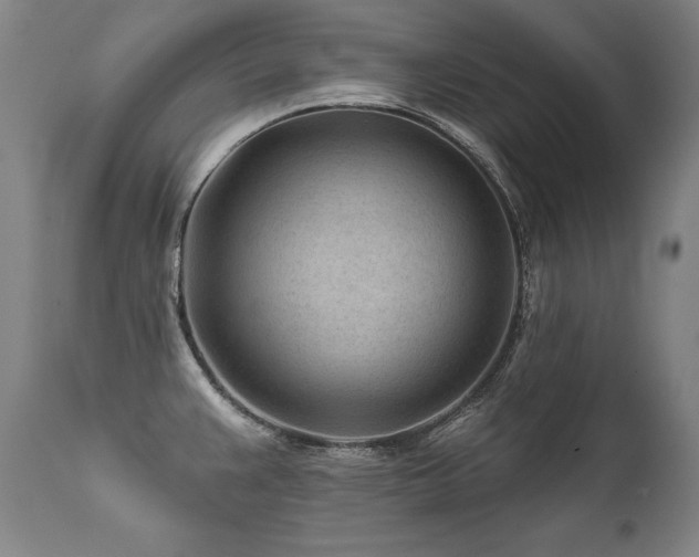 X0000112061383200908041204