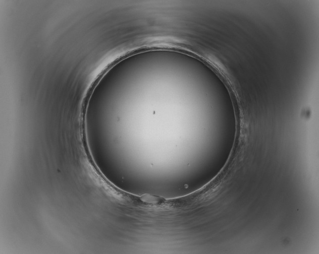 X0000112061384200908041204