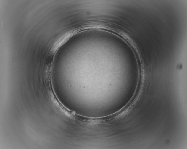 X0000112061385200908041204