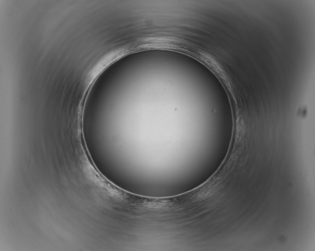 X0000112061386200908041204