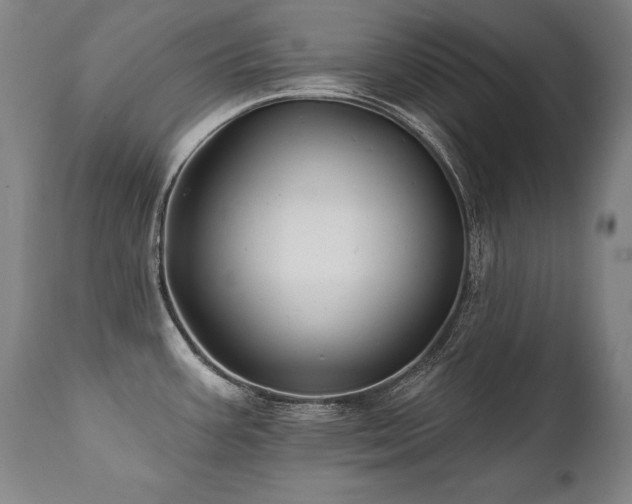 X0000112061387200908041204