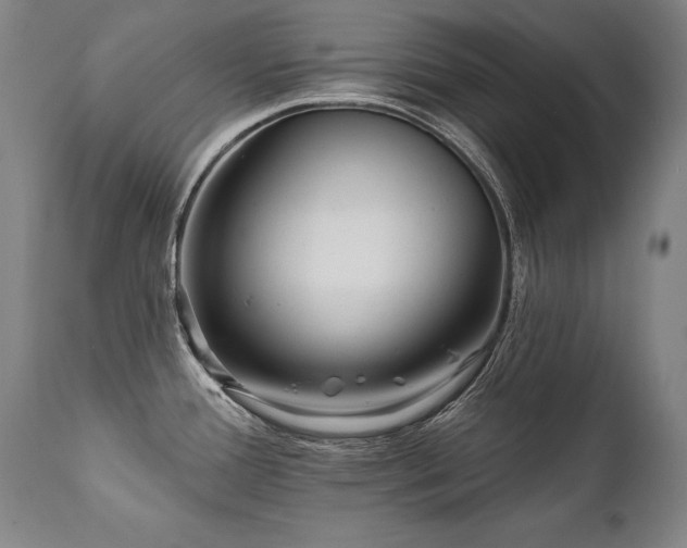 X0000112061388200908041204