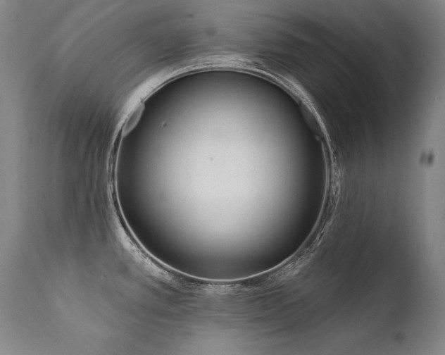 X0000112061389200908041204