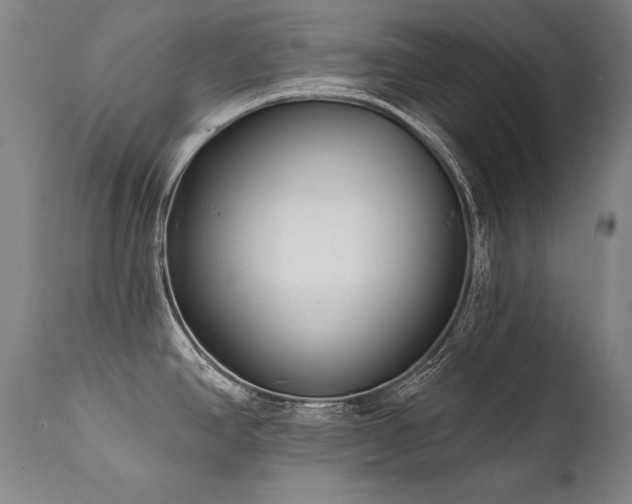 X0000112061390200908041204