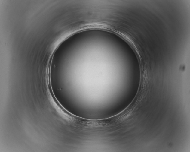 X0000112061391200908041204