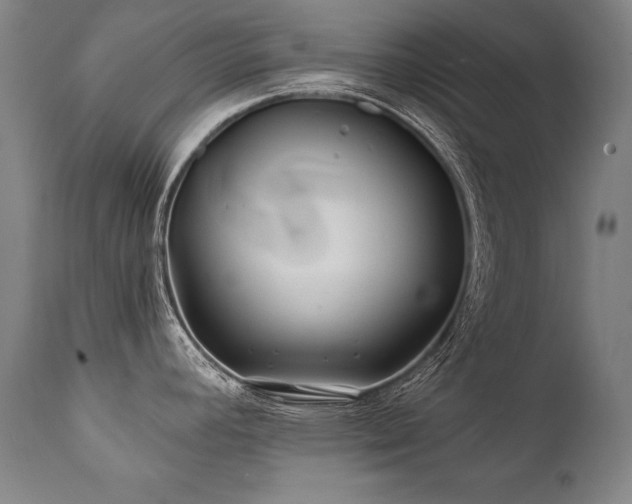 X0000112061392200908041204