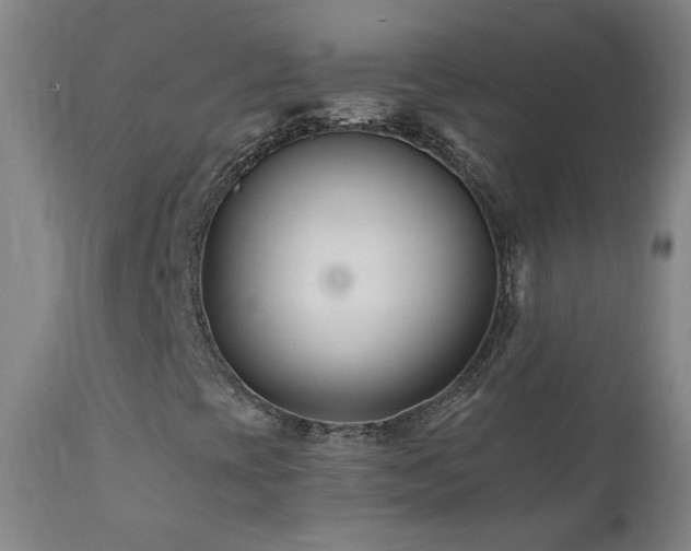 X0000112061393200908041203