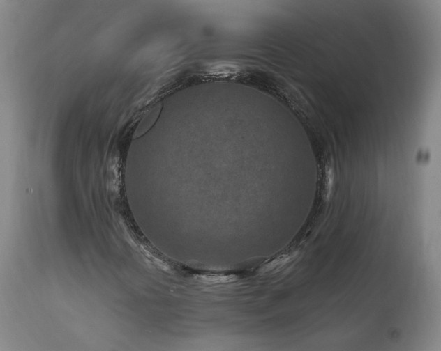 X0000112061394200908041203