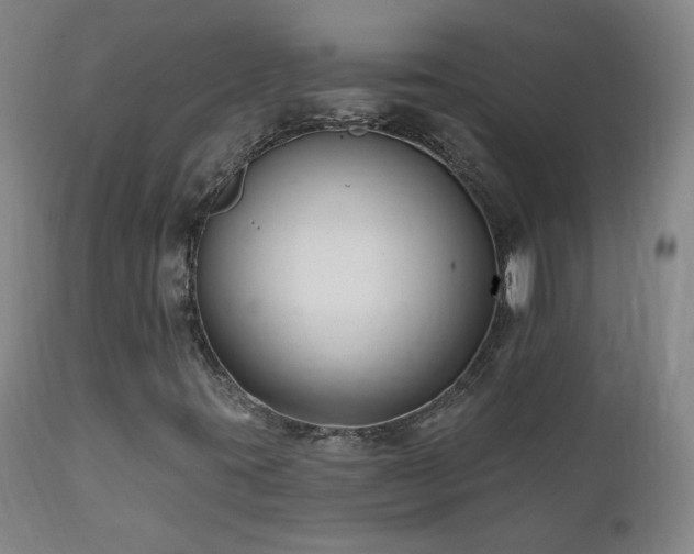 X0000112061395200908041203
