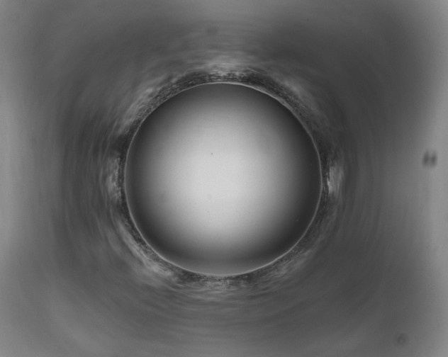 X0000112061396200908041203