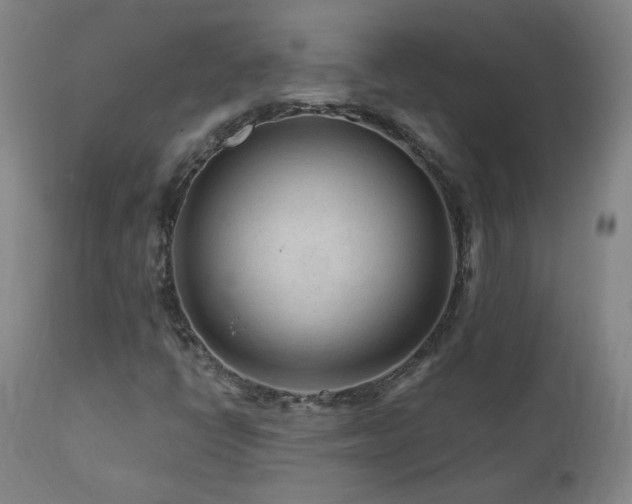 X0000112061398200908041203